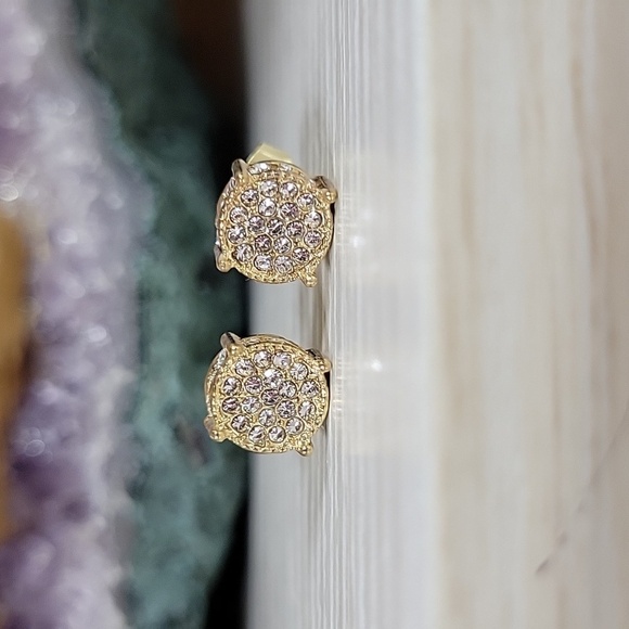 Hip Hop CZ Stud Earrings, unisex - Picture 6 of 8